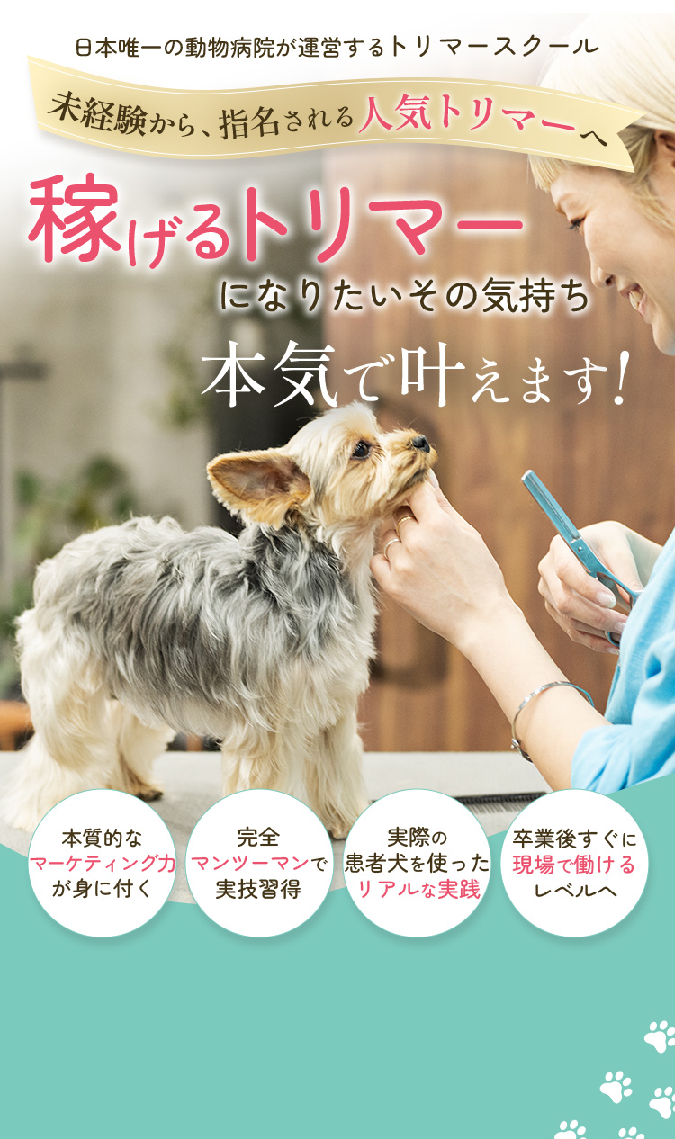 稼げるトリマーになりたいその気持ち本気で叶えます！